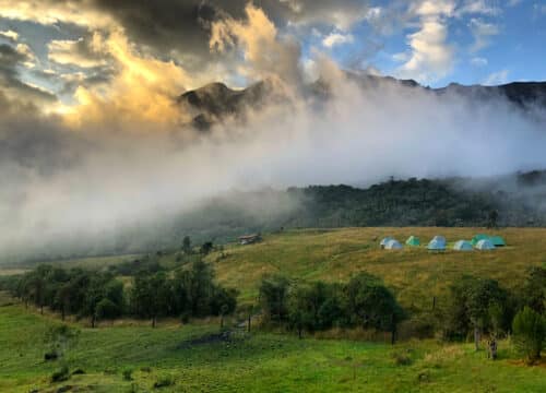 Ecoturismo en el Páramo de Chingaza: Guía para tu Primera Visita