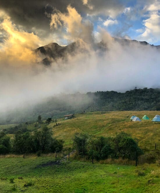 Ecoturismo en el Páramo de Chingaza: Guía para tu Primera Visita