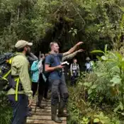 Descubre cómo y dónde ver al oso andino en el páramo de Chingaza. Guía de avistamiento, mejor época del año y planes guiados con Reserva La Laja.