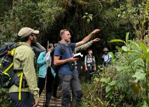 Avistamiento del Oso Andino en Chingaza, Guía Completa para tu Visita