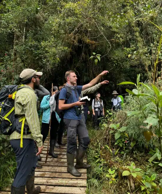 Avistamiento del Oso Andino en Chingaza, Guía Completa para tu Visita